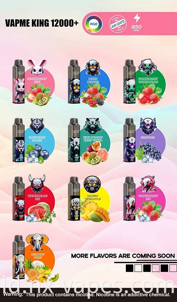 VAPME KING 12000 (5)